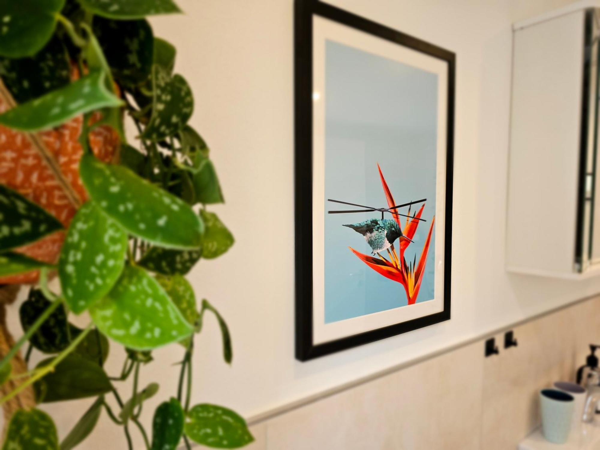 Kolibri - Design Maisonette - Nintendo Switch, Streaming, Bikestore, E-Wallbox Marburg 外观 照片